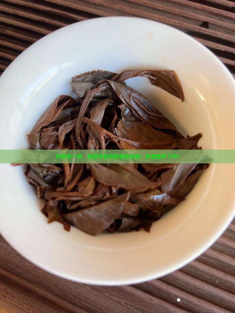 龙园号开春第一普洱茶套装