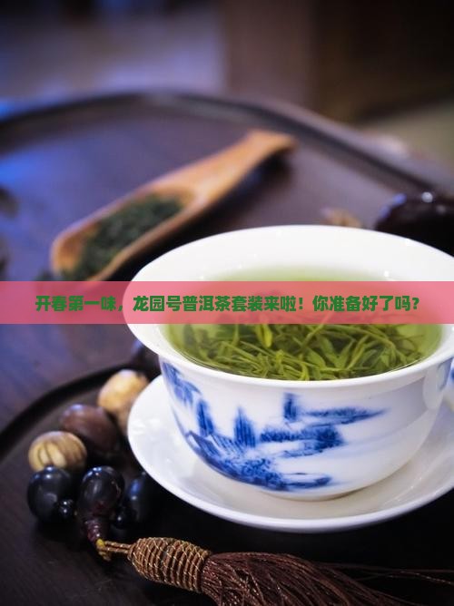龙园号开春第一普洱茶套装