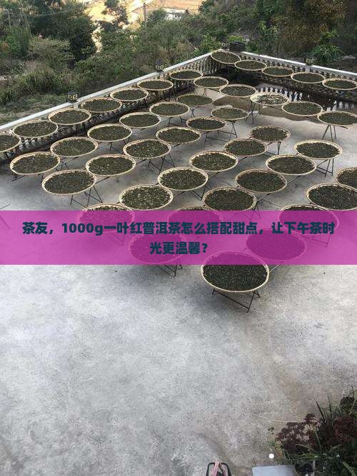 一叶红普洱茶1000g