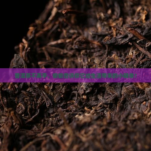 常喝普洱茶的有什么好处