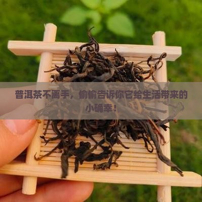 常喝普洱茶的有什么好处