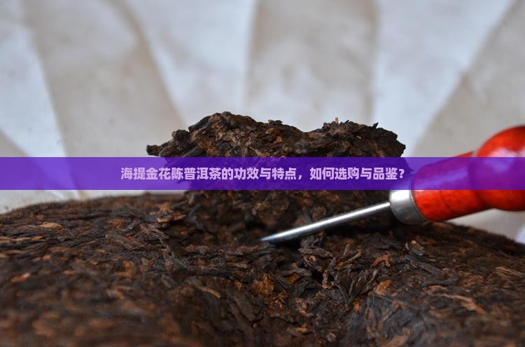 海提金花陈普洱茶