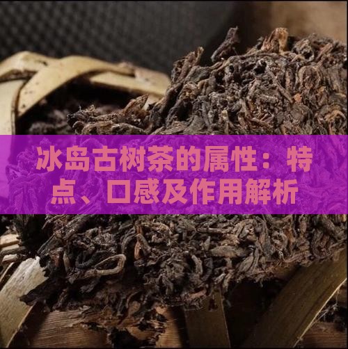 冰岛古树茶的属性