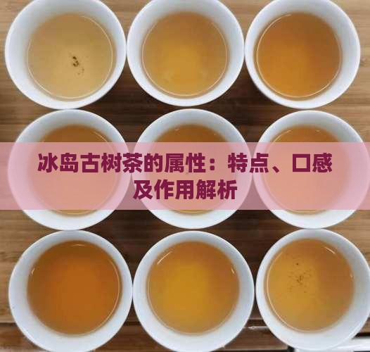 冰岛古树茶的属性
