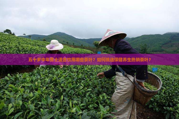 五十岁中年男士喝的茶叶推荐
