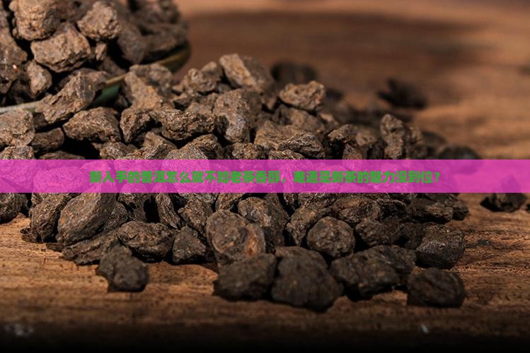 普洱茶新茶没老茶好喝怎么办
