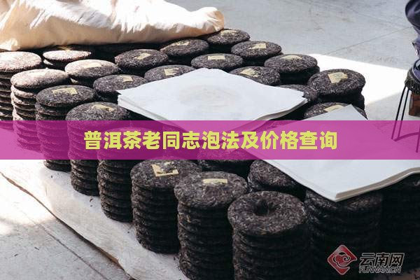 普洱茶老同志泡法