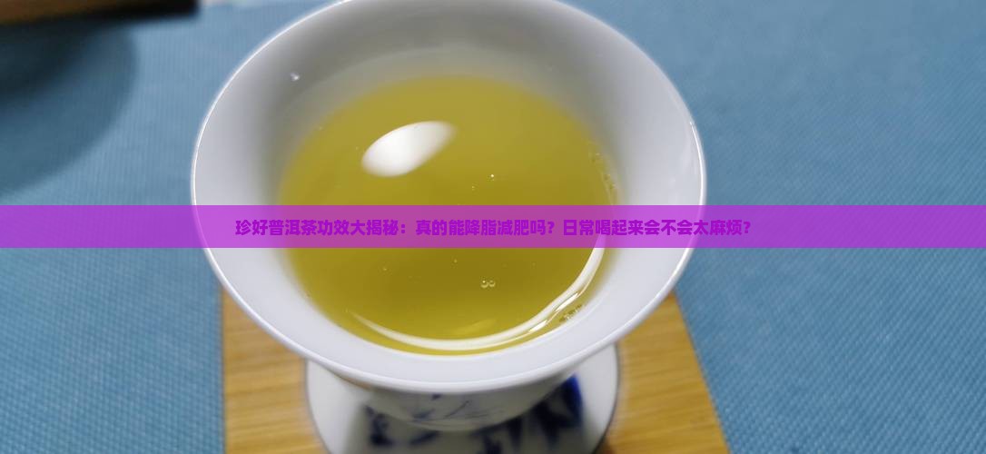 珍好普洱茶的功效与作用