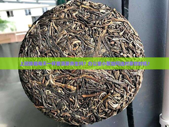 可以天天泡普洱茶喝吗