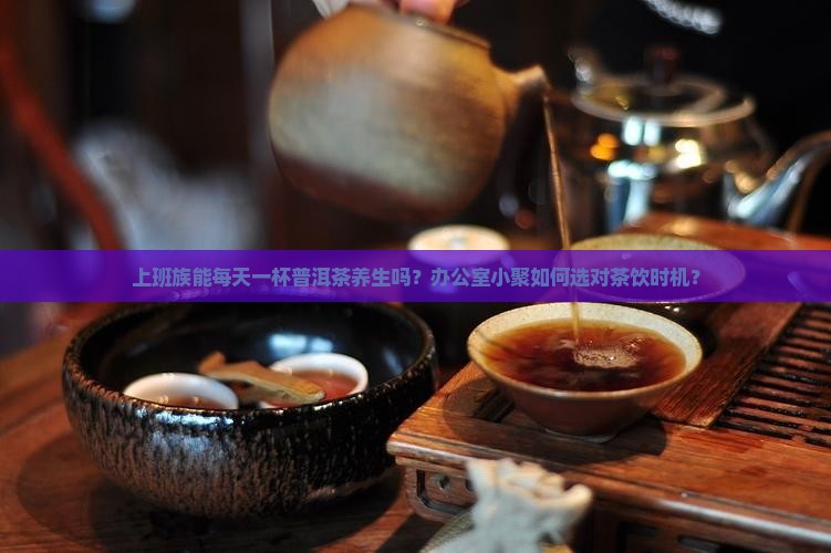 可以天天泡普洱茶喝吗