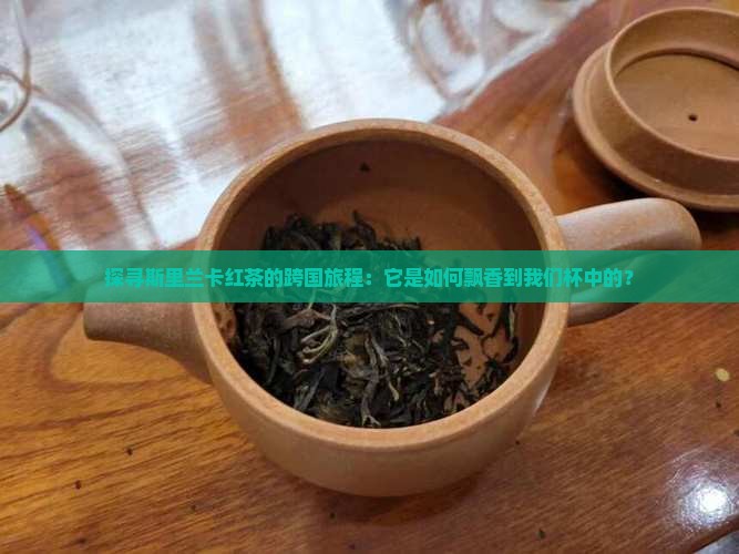 斯里兰卡红茶的进口流程