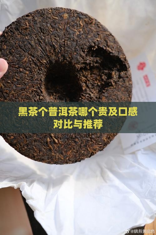 黑茶个普洱茶哪个贵