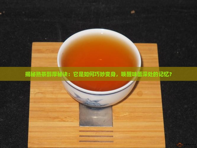熟茶用什么发酵