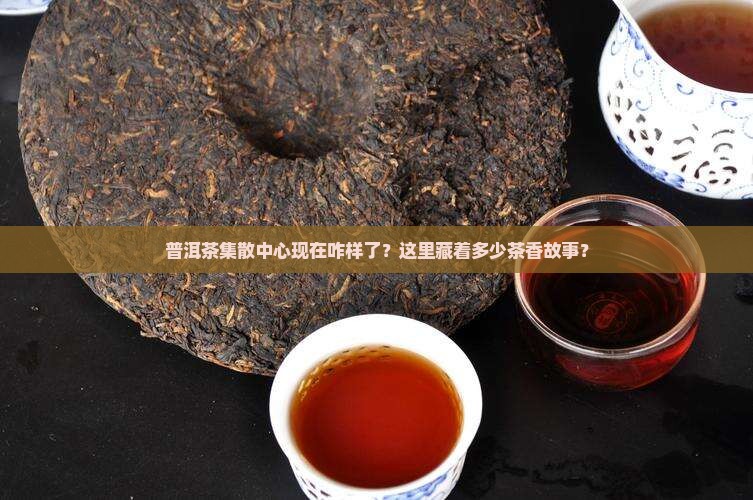 普洱茶集散中心现状
