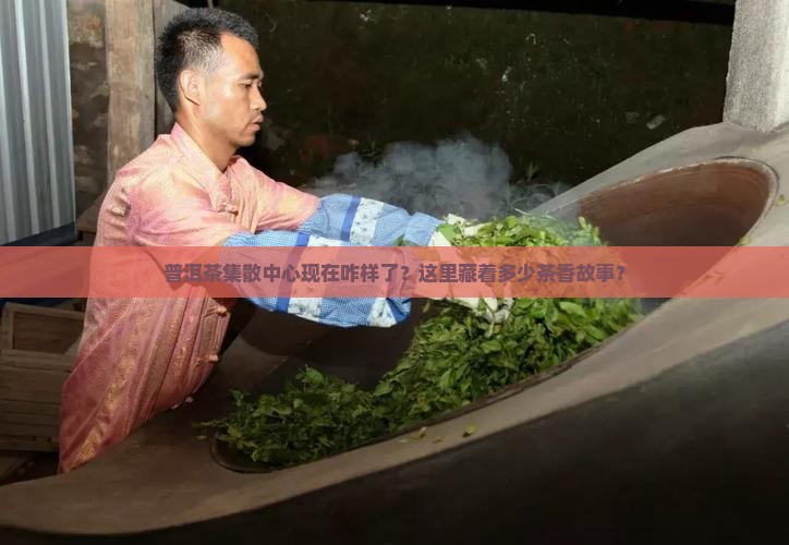 普洱茶集散中心现状