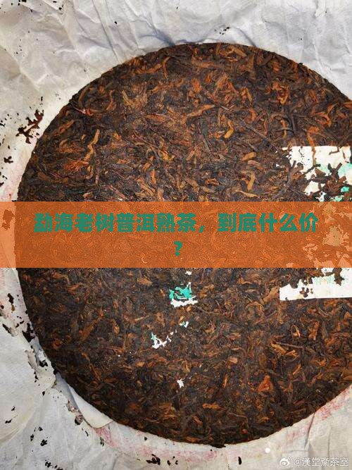 勐海老树茶普洱熟茶多少钱