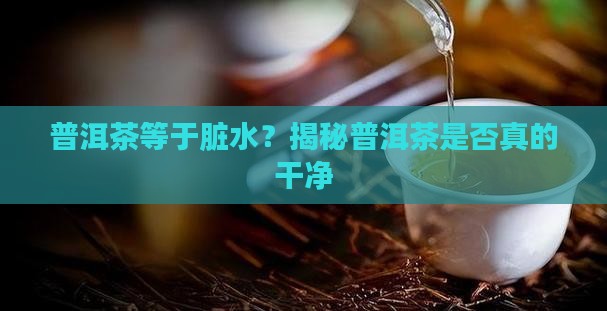 现在的普洱茶干净吗