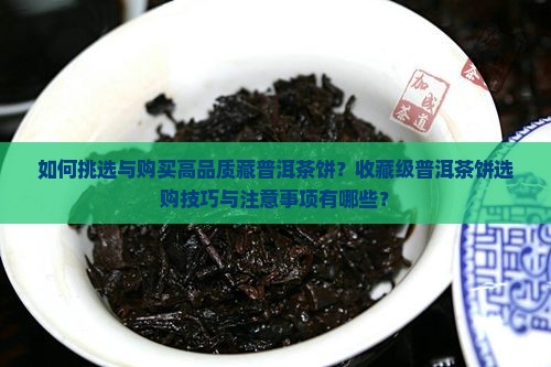 如何选择购买藏普洱茶饼