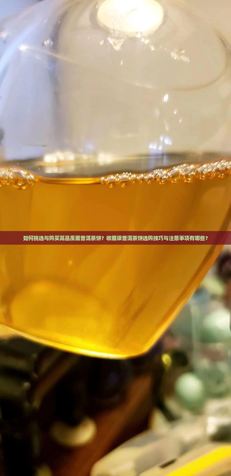 如何选择购买藏普洱茶饼