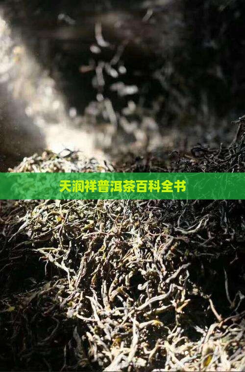 天润祥普洱茶百科