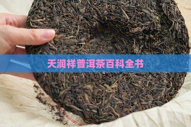 天润祥普洱茶百科