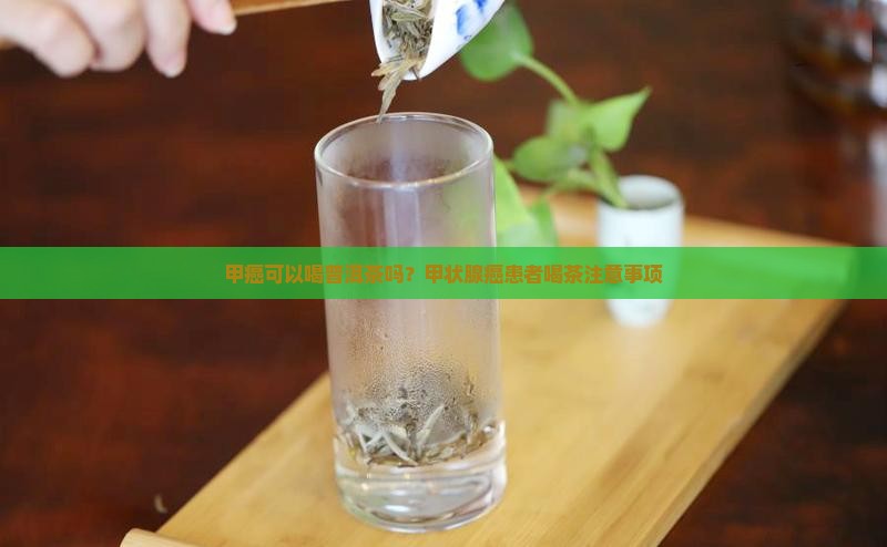 甲癌可以喝普洱茶吗