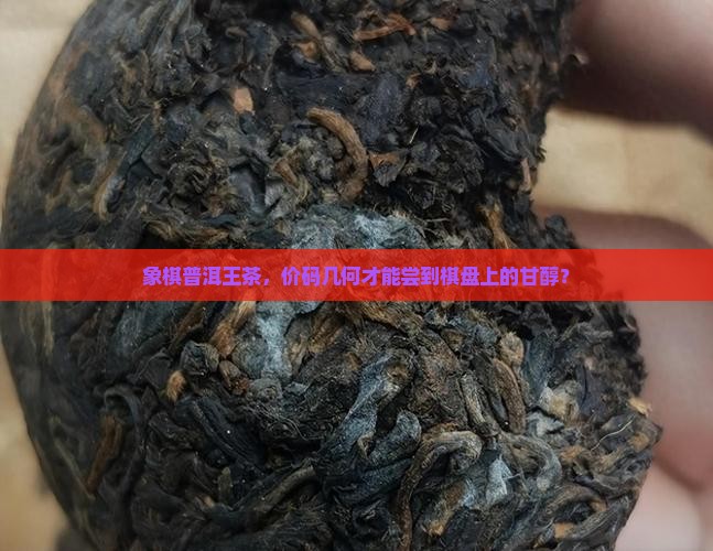 普洱茶王茶的象棋茶多少钱