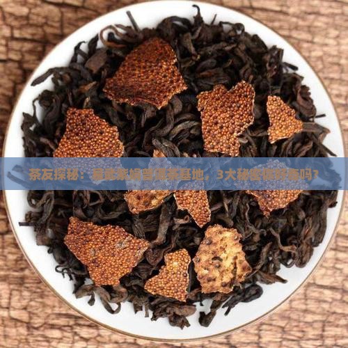 易武紫娟普洱茶基地