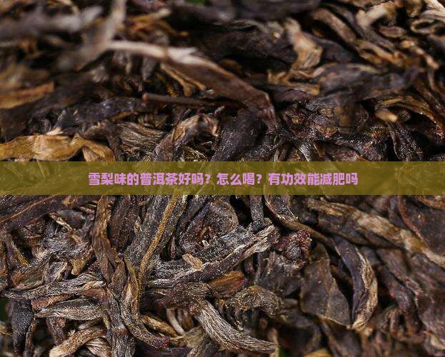 雪梨味的普洱茶好吗