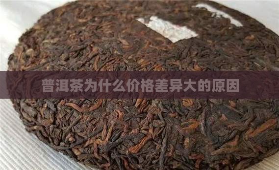 普洱茶v为什么价格相差大