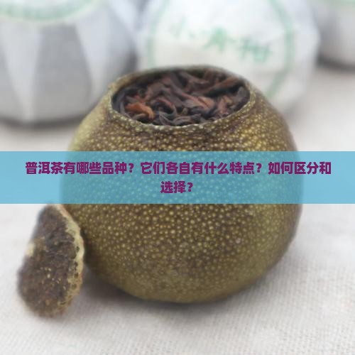 普洱茶的品种分类及特点