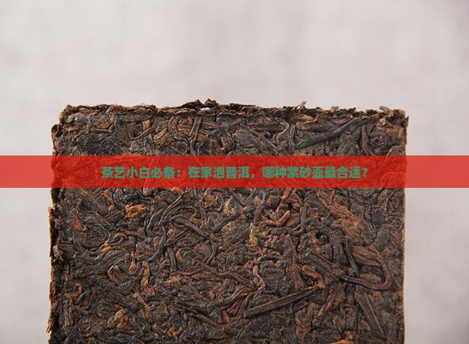 用什么紫沙泡普洱茶