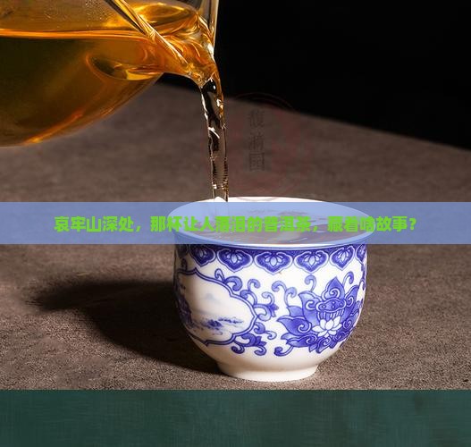 哀牢山的普洱茶
