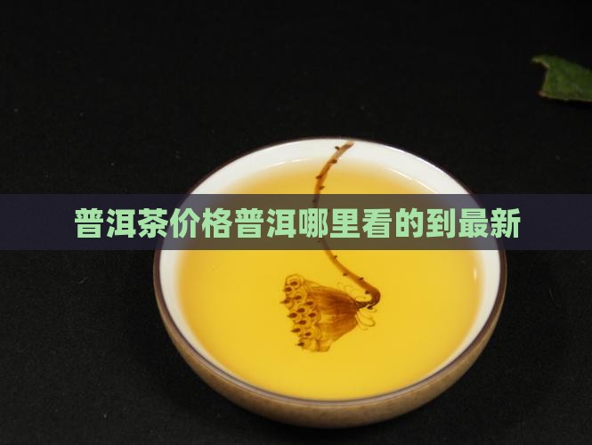普洱茶价格哪里看的到