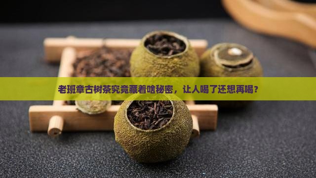 为什么老班章古树茶好