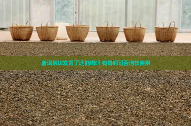 普洱茶块发霉了还能喝吗