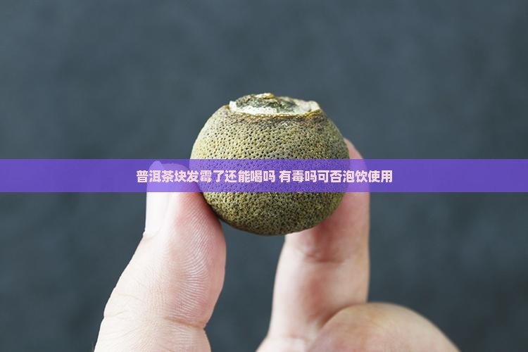 普洱茶块发霉了还能喝吗