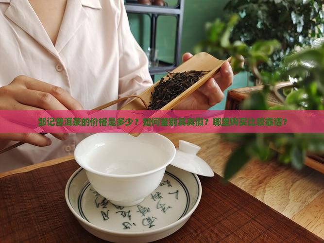 邹记普洱茶多少钱