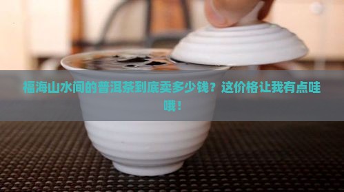 福海山水间普洱茶价格