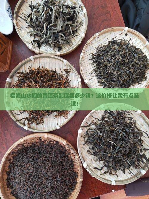福海山水间普洱茶价格