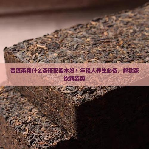 普洱茶和什么茶搭配泡水好