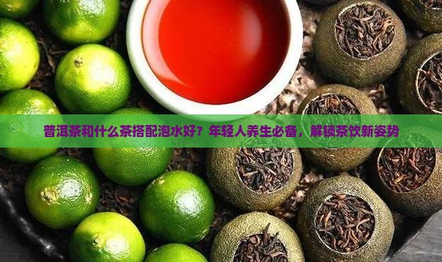 普洱茶和什么茶搭配泡水好