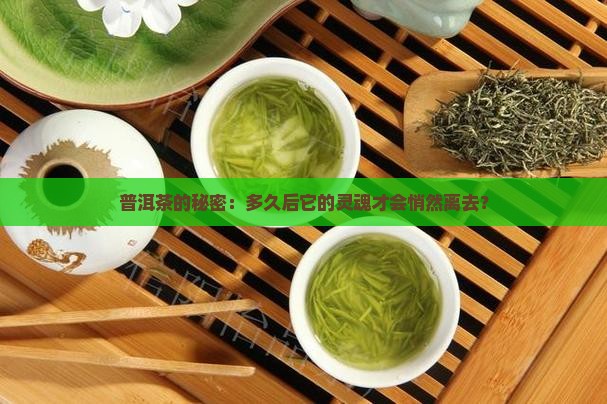 普洱茶留多久茶气会散