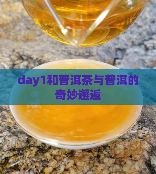 day1和普洱茶