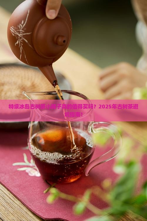 特级冰岛古树茶小牌子