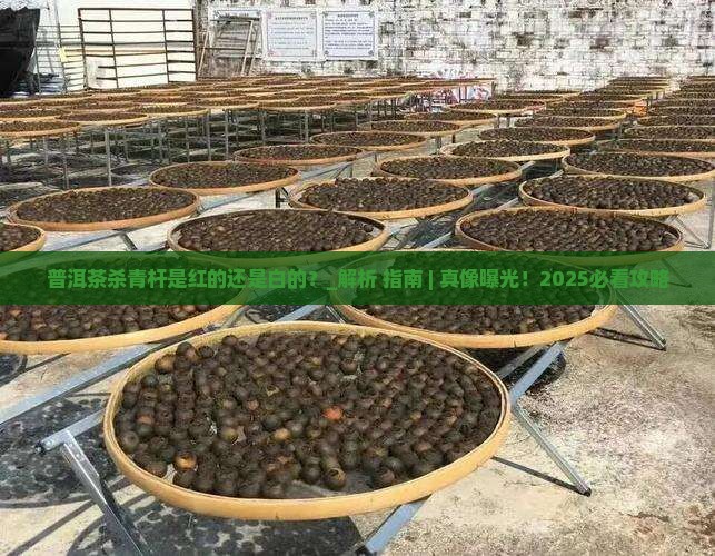 普洱茶杀青杆是红的还是白的 普洱茶杀青杆是红的还是白的