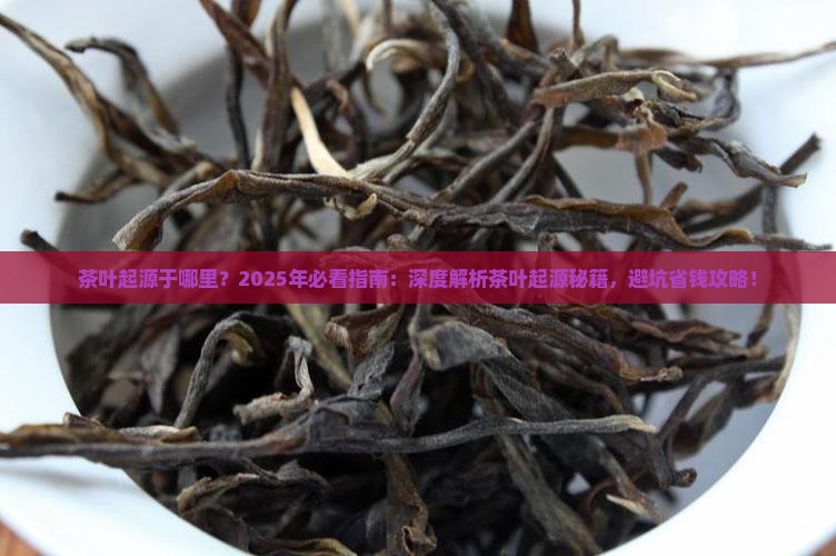 茶叶起源于哪里