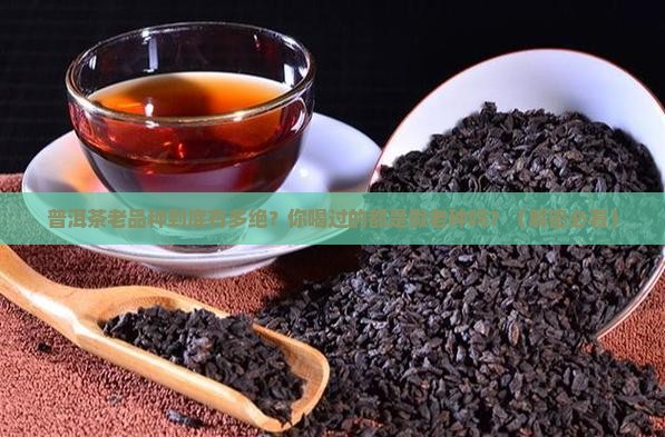 普洱茶原生老品种