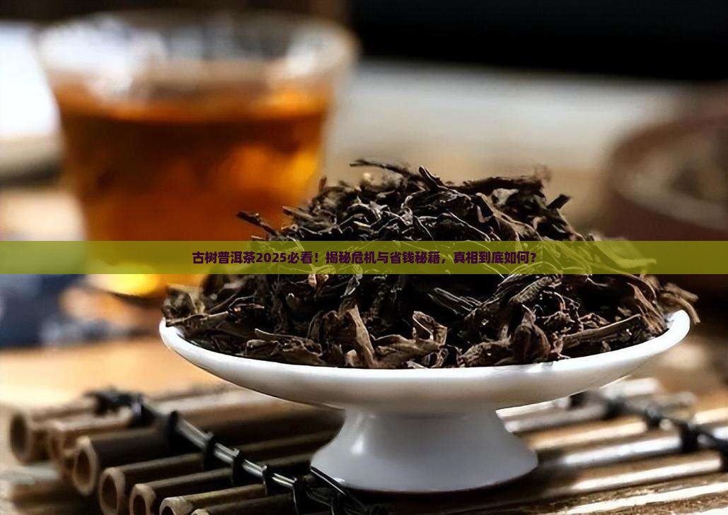古树普洱茶有危机吗