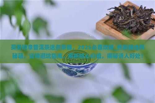 买老班章普洱茶送煮茶器